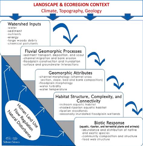 Ecosystem Process Linkages Between Climate And Broad Scale Context And