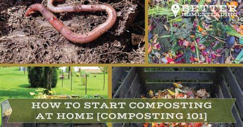 Making Organic Compost At Home Composting 101 Guide