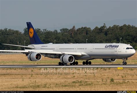D Aihe Lufthansa Airbus A340 600 At Frankfurt Photo Id 478168