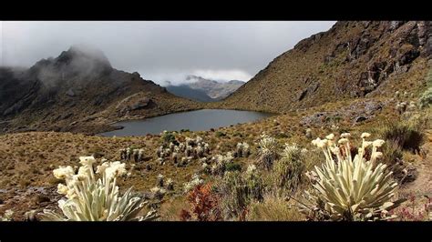 Riqueza Hídrica De Colombia Youtube