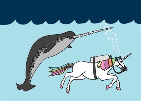 Until About Five Years Ago I Thought Narwhals Were Imaginary It Was