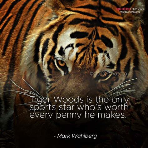 Best 150 Tiger Quotes On Attitude Courage Quotes For Inspiration