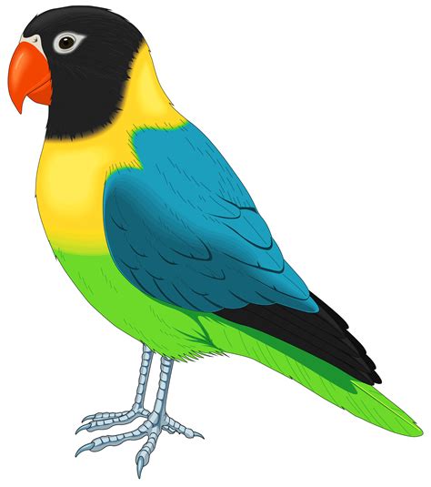 Multicolored Bird Png Clipart Best Web Clipart
