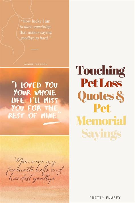 54 Touching Pet Loss Quotes And Pet Memorial Sayings Pretty Fluffy