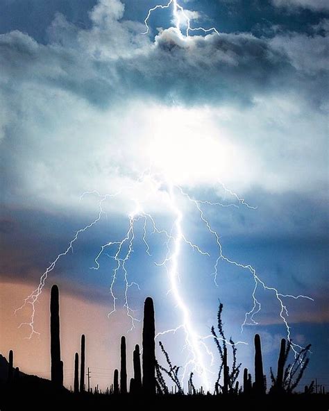 Lightning Strike Through The Clouds During Monsoon In Saguaro National