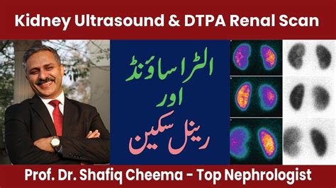 Kidney Ultrasound And Dtpa Or Mag3 Renal Scan Youtube