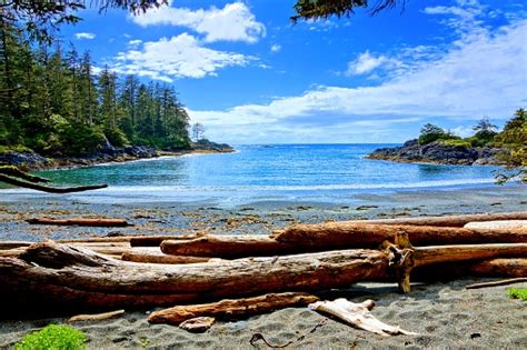 Coast Of Pacific Rim National Park Vancouver Island Bc Canada Stock