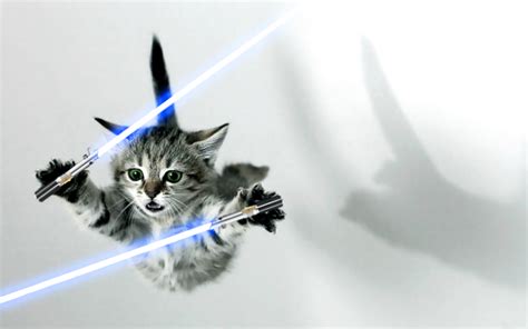 Cats With Lightsabers