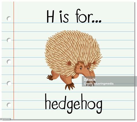Flashcard Letter H Is For Hedgehog Stock Illustration Download Image