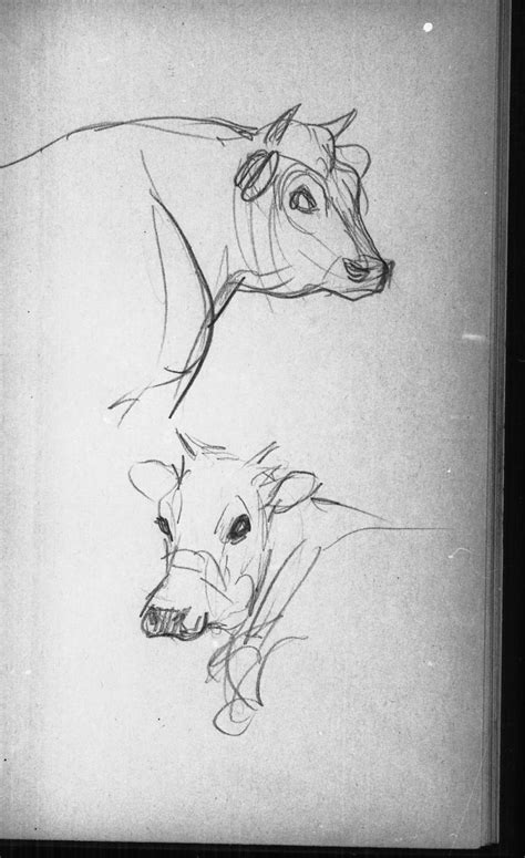 Deja View Bernard Garbutt Animal Sketches