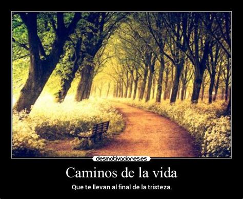 Caminos De La Vida Desmotivaciones