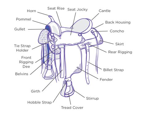 Basic Horse Tack And Equipment The Complete Guide