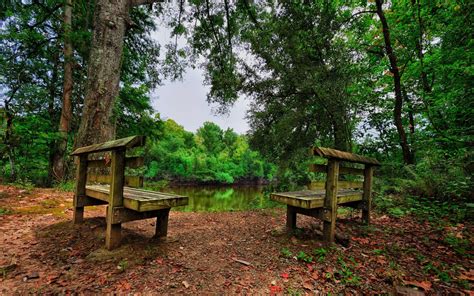 Nature Landscape Hdr Bench Trees Forest Lake Leaves