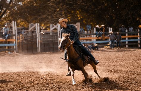 7 Western Horseback Riding Tips For Beginners Rockinmtack Blog