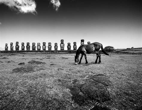 Rapa Nui Behance