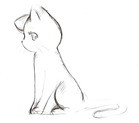 Warrior Cat Drawing Side View
