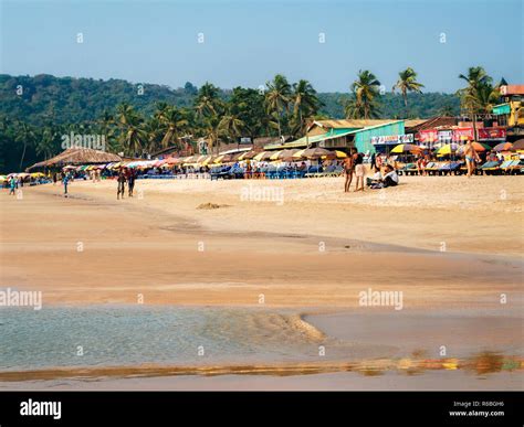 Baga Goa India Dec 5 2014 Crowded Baga Beach With Restaurant