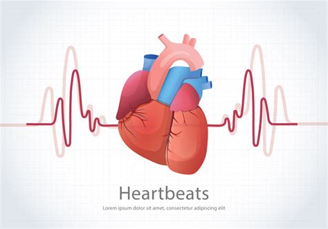 Human Heartbeats Illustration Background 161585 Vector Art At Vecteezy