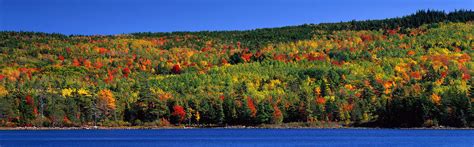 Autumn Eagle Lake Acadia National Photograph By Panoramic Images
