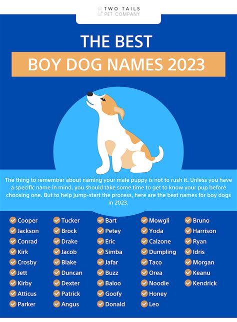 100 Best Boy Dog Names In 2024 Two Tails Pet Company