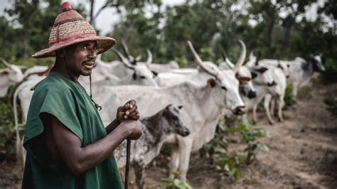 Nigerias Hipster Herders The Funky Fulanis Bbc News