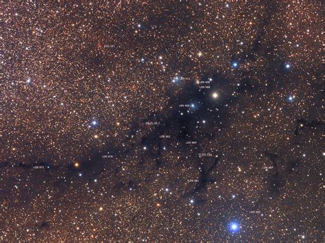 Apod 2014 November 20 Ldn 988 Dark Nebula In Cygnus