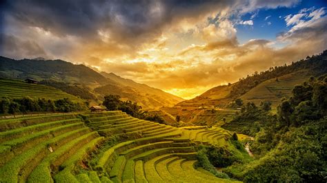 Best of Hong Kong & Yellow Rice Terraces in Vietnam - AV ...