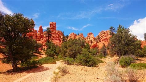 Free Images Landscape Tree Wilderness Mountain Sky Sun Trail