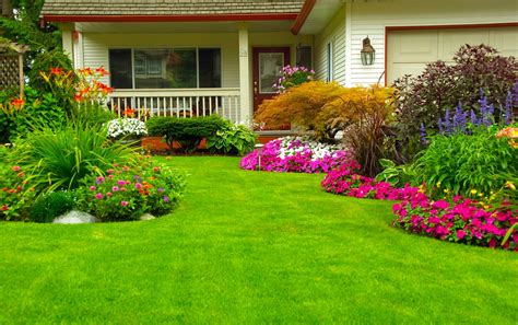 Lawn Care Maintenance & Tips - Caring for your Grass - Lawn and ...