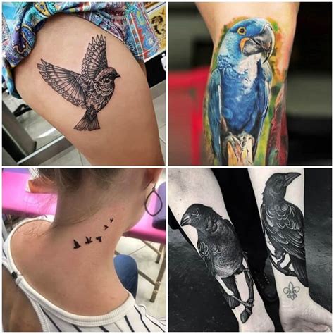 Álbumes 104 Foto Tatuajes De Aves En El Brazo Para Hombres Lleno