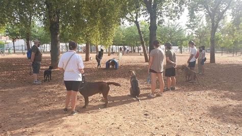 Así Se Utilizan Las Zonas De Esparcimiento Canino De Córdoba