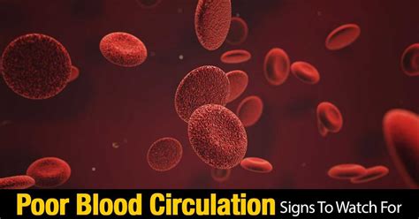 13 Signs To Watch For If You Suspect Poor Blood Circulation