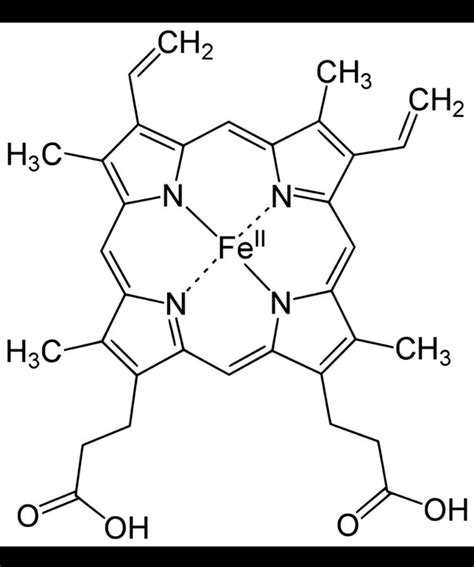Hemoglobin Chemical Structure Molecular Structure Iron