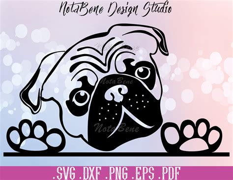 Pet Pug Pug Puppies Pugs Silhouette Cameo Software Silhouette