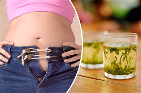 Five Foods That Burn Stubborn Stomach Fat Fast Daily Star