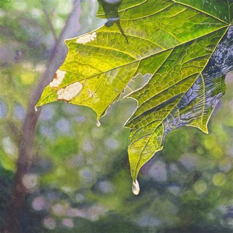 Autumn Leaves Art Watercolor Painting Print By Cathy Hillegas Etsy