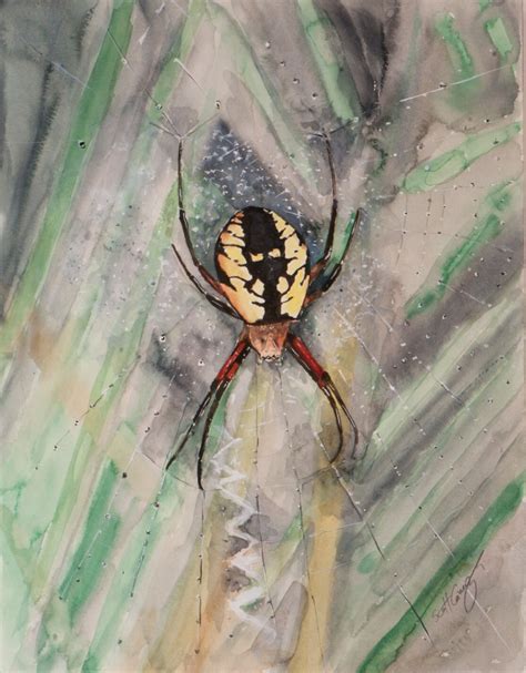 Spider Argiope On Web Watercolor Painting Nursery Bedroom Art