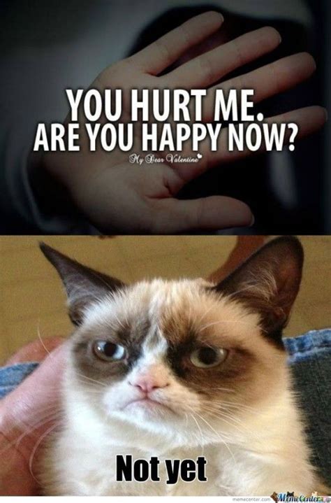 Grumpy Cat Memes Funny Clean S Meme Center Largest