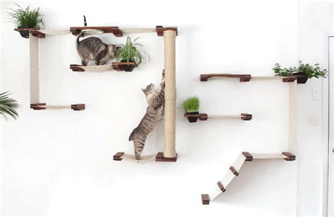 6 Climbing Walls Your Cat Will Love Smack Bang Blog