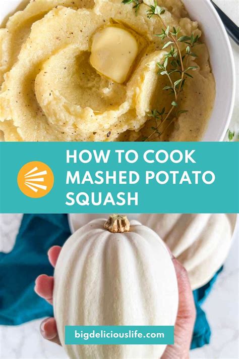 How To Cook Oven Roasted Mashed Potato Squash Big Delicious Life