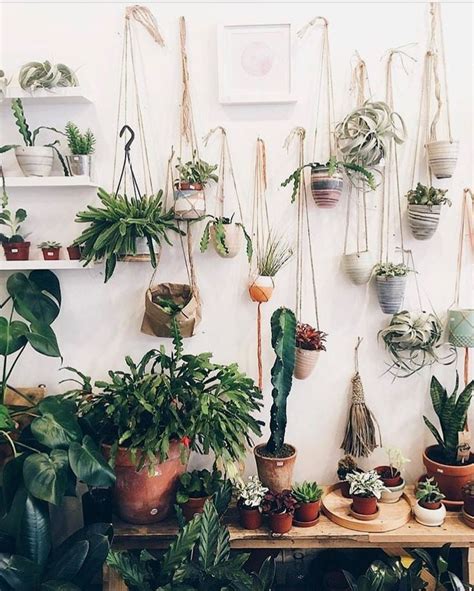 32 Office Plants Youll Want To Adopt Office Plants Plants Cubicle