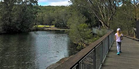 Lane Cove National Park Stunning And Something For Everyone