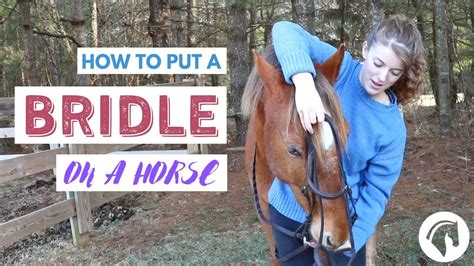 How To Put A Bridle On A Horse English Youtube