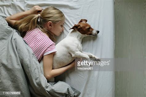 Blond Girl Lying On Bed With Her Dog Sleeping Top View Bildbanksbilder