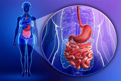 Crohn hastalığı inflamatuar barsak hastalıkları (i̇bh) yada ingilizce adıyla inflammatory bowel disease (ibd) grubunda yer alır. Kron (Crohn) Hastalığı