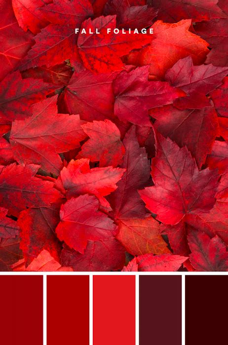 20 Fall Color Palettes For A Warm Fall Aesthetic Artofit