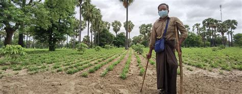 Myanmars Farmers Battle Climate And Health Uncertainty Un News