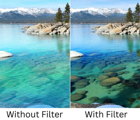 Polarizing Filter Before And After