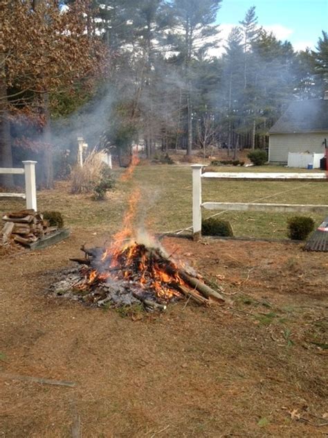 Attempt getting a bunch of mad cows; Open Burning Rules in Massachusetts