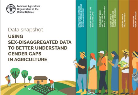Data Snapshot Using Sex Disaggregated Data To Better Understand Gender Gaps In Agriculture